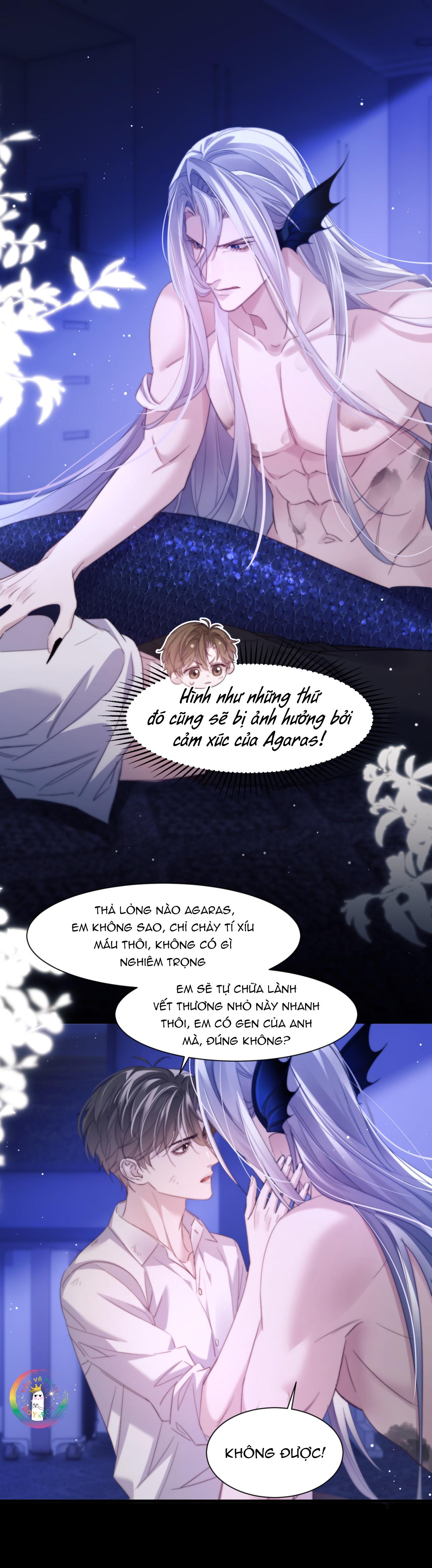 Nhân Ngư Desharow Chapter 102 - Next 