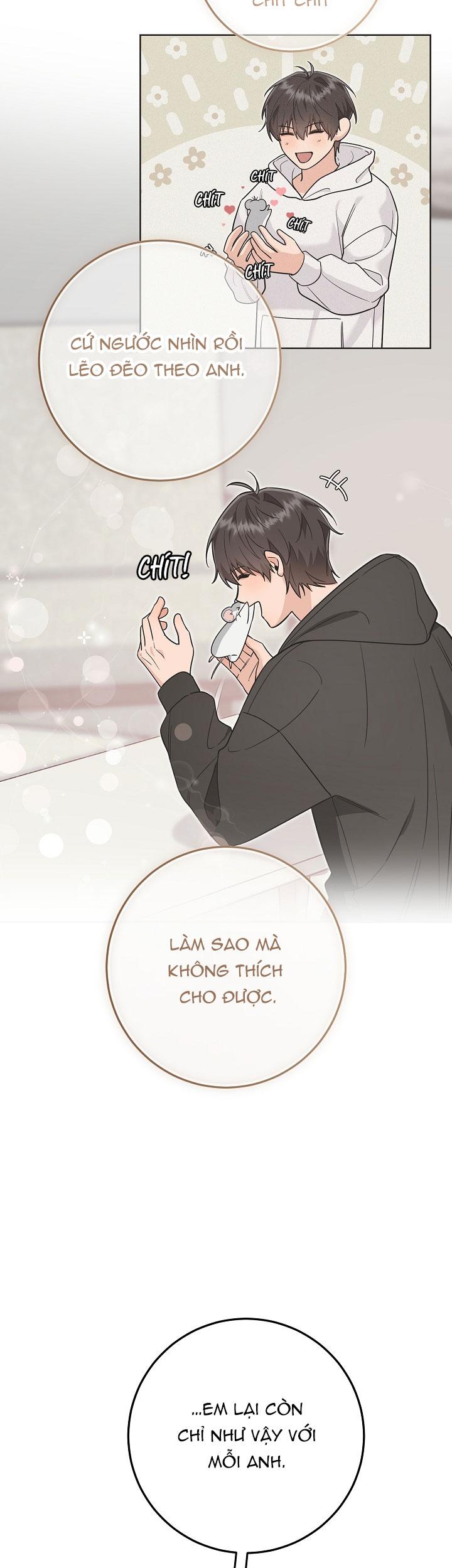 (RÔ LAI) Thú cưng chuột của tôi là một thức tỉnh giả cấp S Chapter 17 - Trang 2