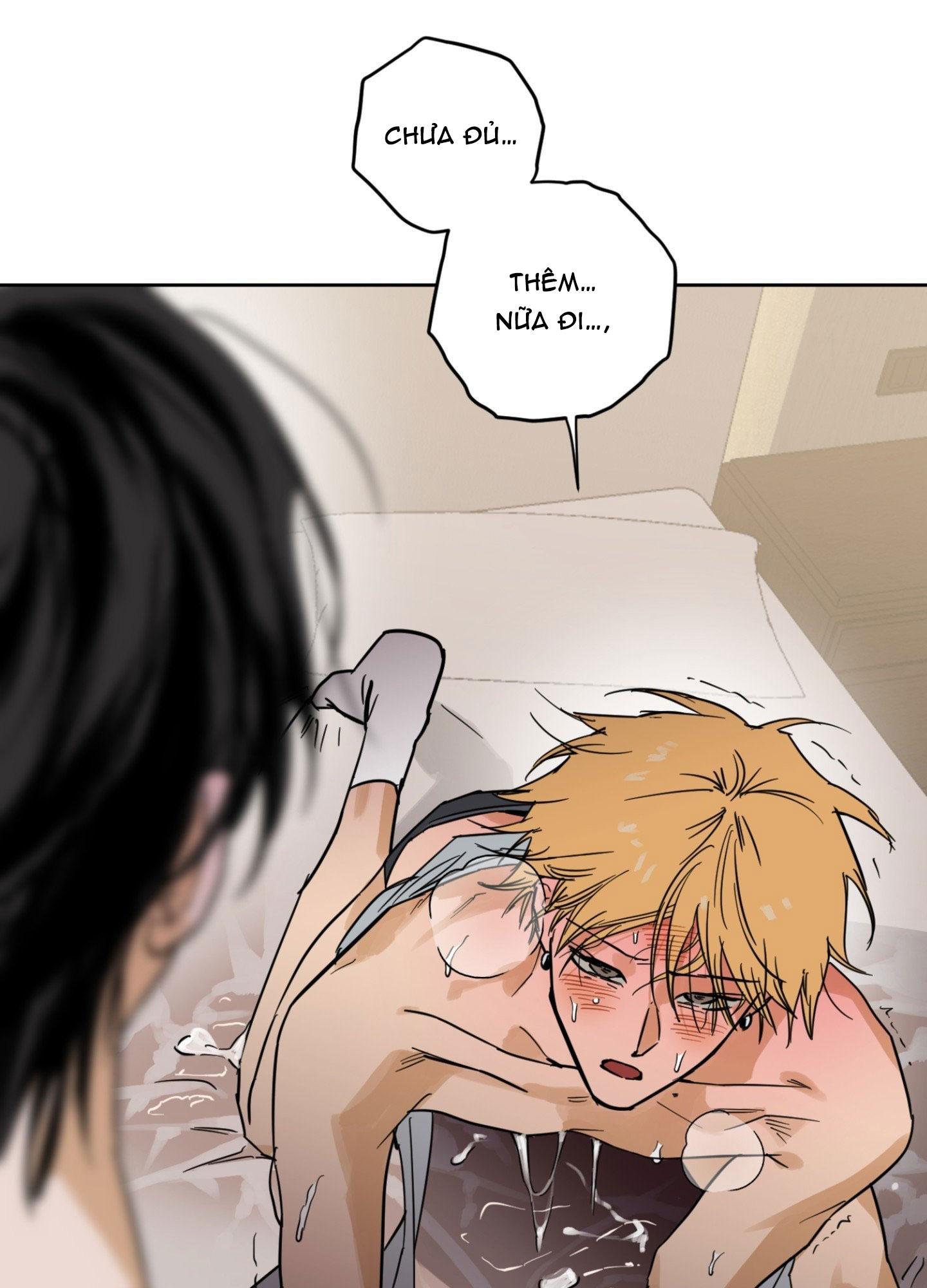 FULL BOOK Chapter 11 - Trang 2