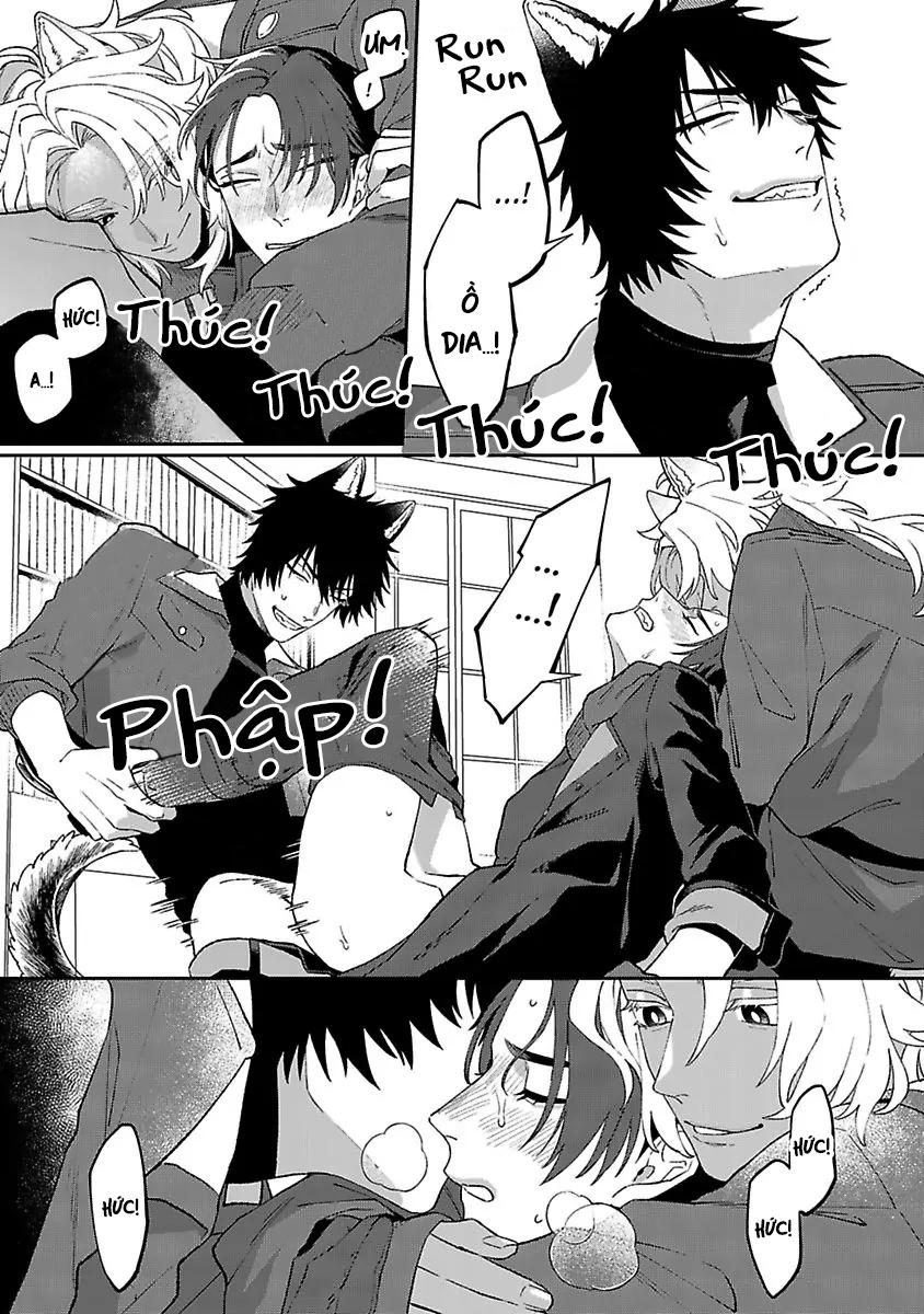 Rắc Rối Nhân Đôi Chapter 4 - Next 