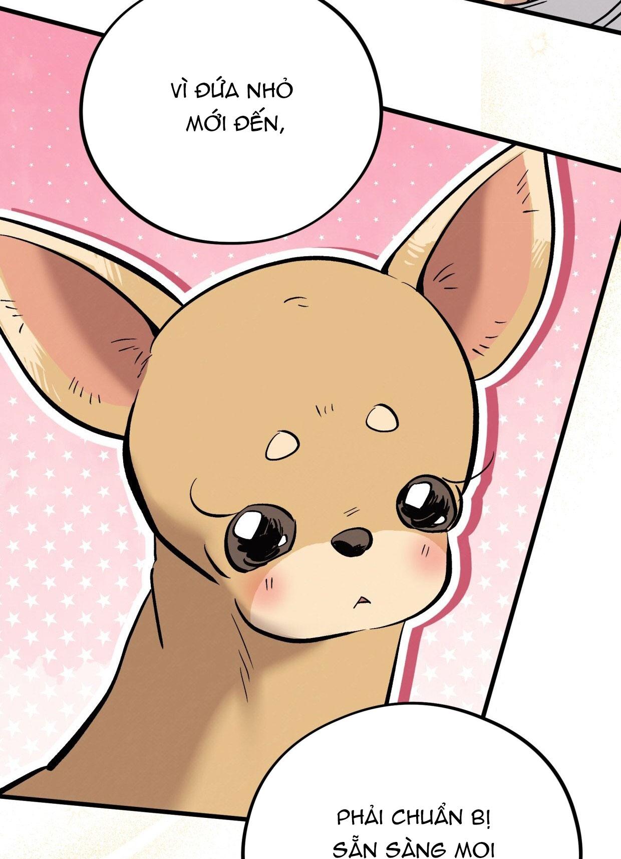 HONEY BEAR Chapter 71 - Next Chapter 72