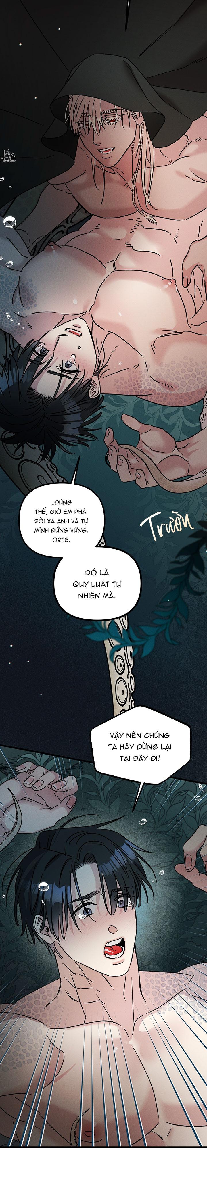 Mermaid's Cradle Chapter 4 - Next 