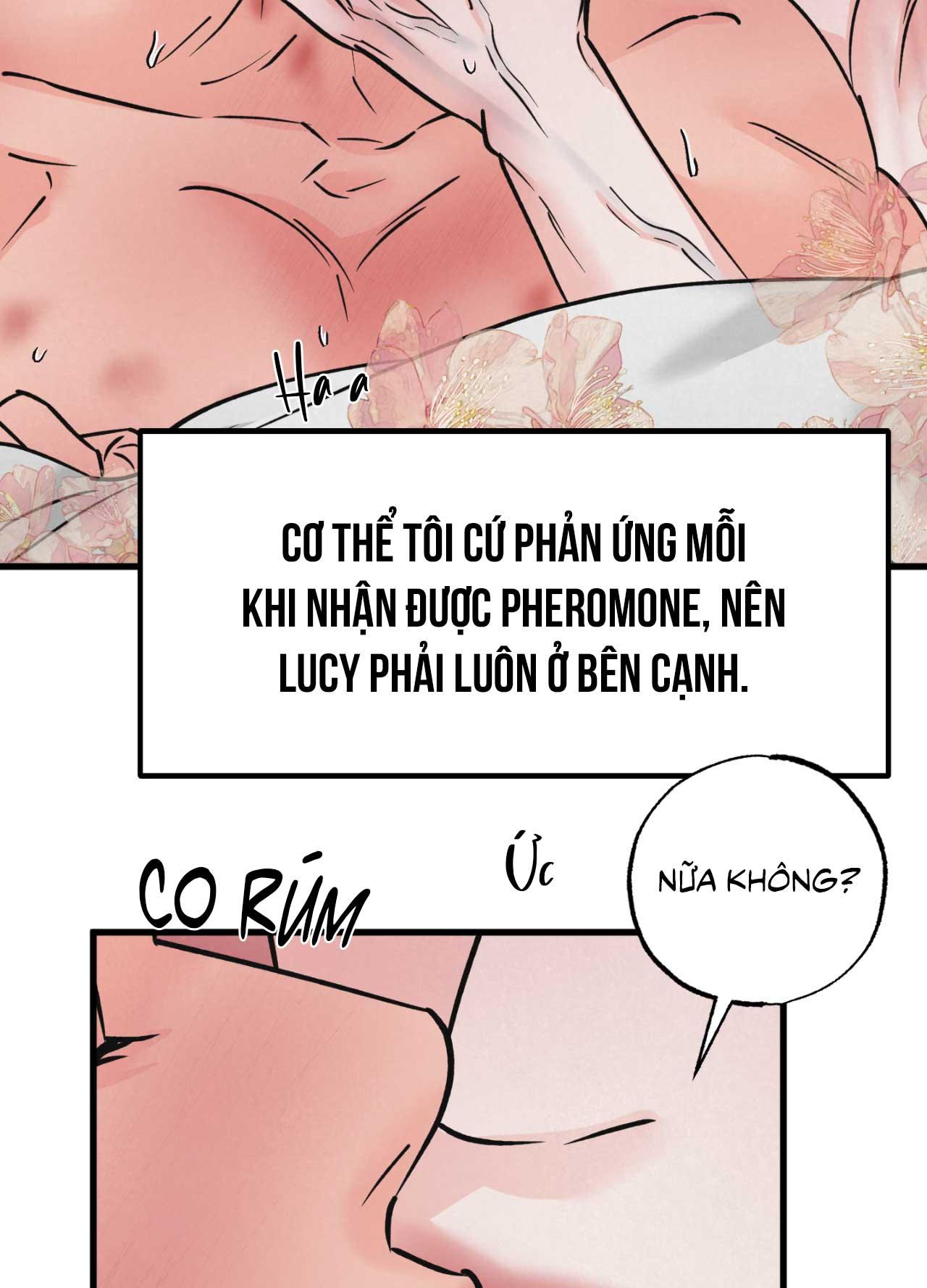 CẶP ĐÔI HOÀN HẢO Chapter 48 - Next Chapter 49