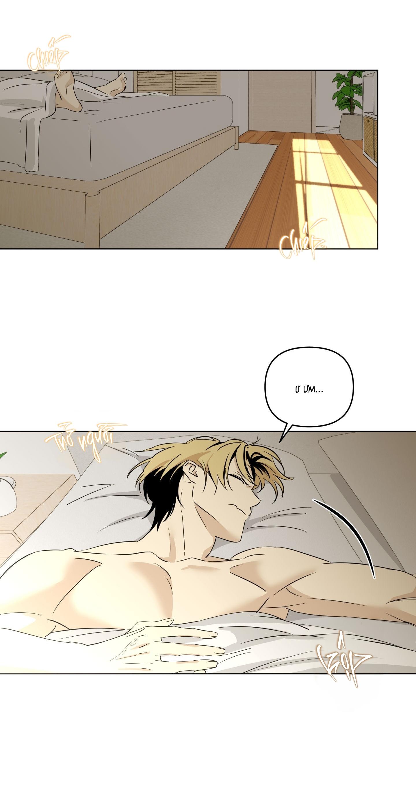 GUITAR ĐIỆN VÀ CÀ VẠT Chapter 8 - Next 