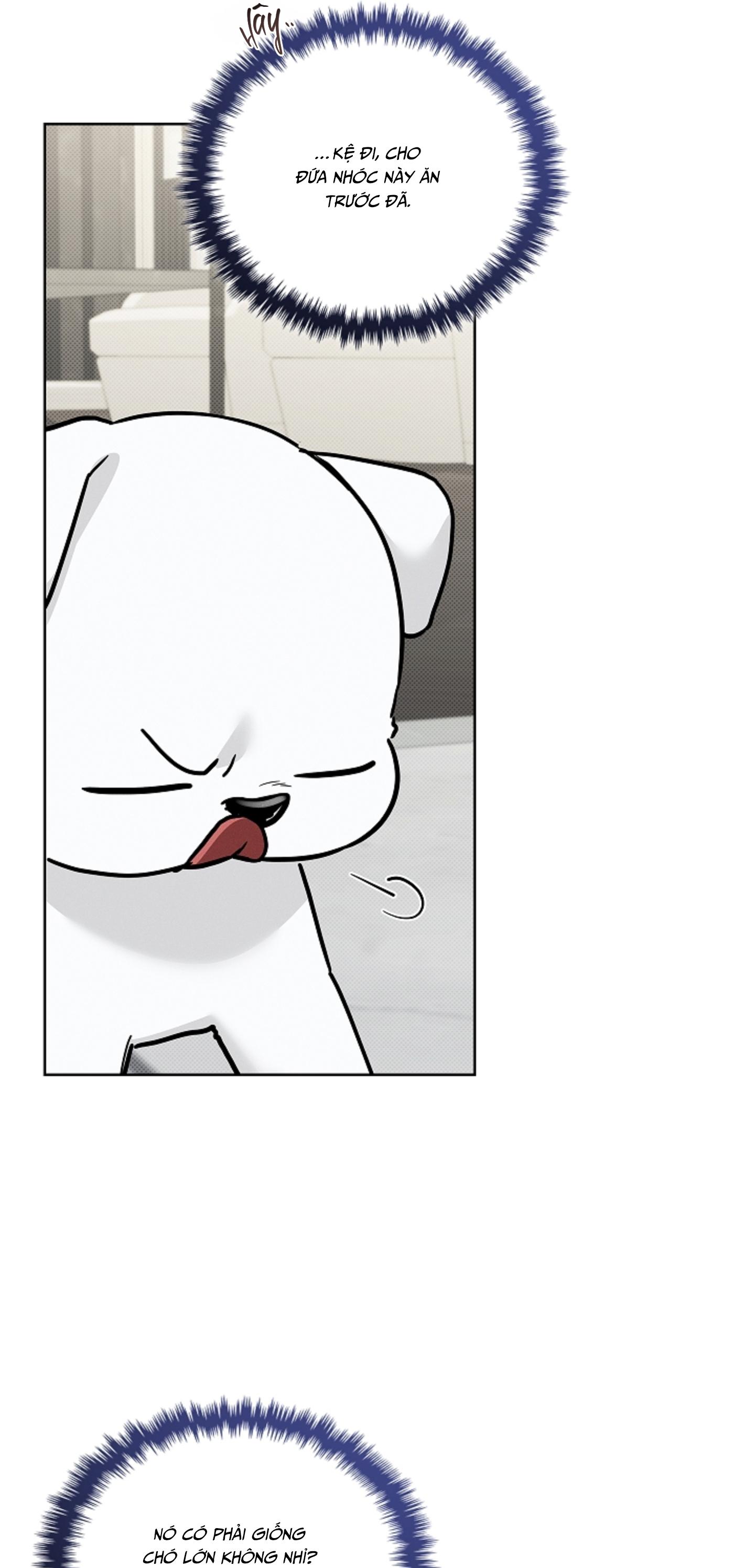 ĐỪNG CHẠM VÀO CÚN CON CỦA TÔI Chapter 47 NT 3 - Next 