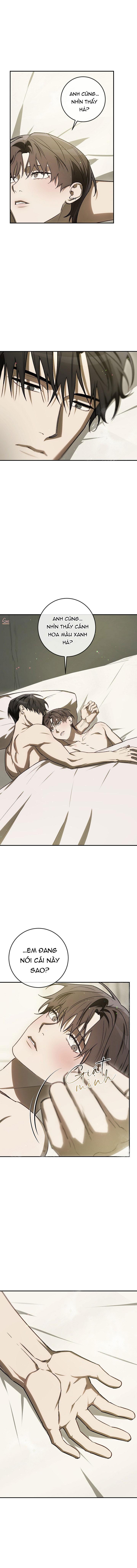 BẢO VẬT Chapter 34 - Next Chapter 35