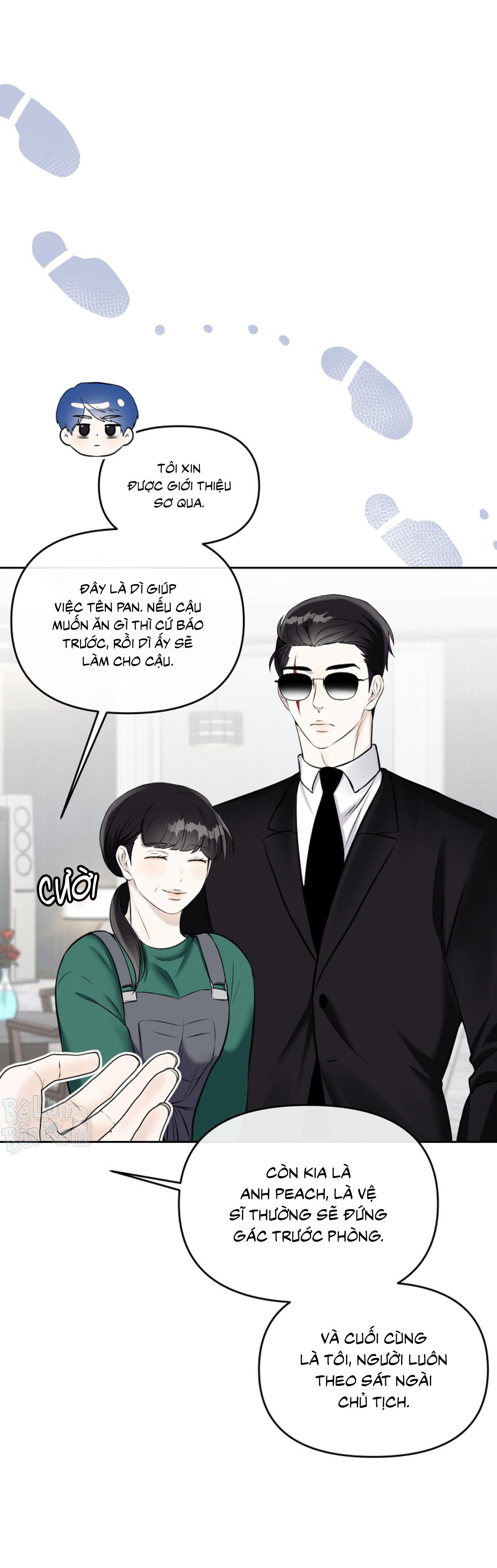 Làm sao đây? Tôi gặp phải quest công lược tổng tài tra nam rồi Chapter 31 - Next Chapter 32