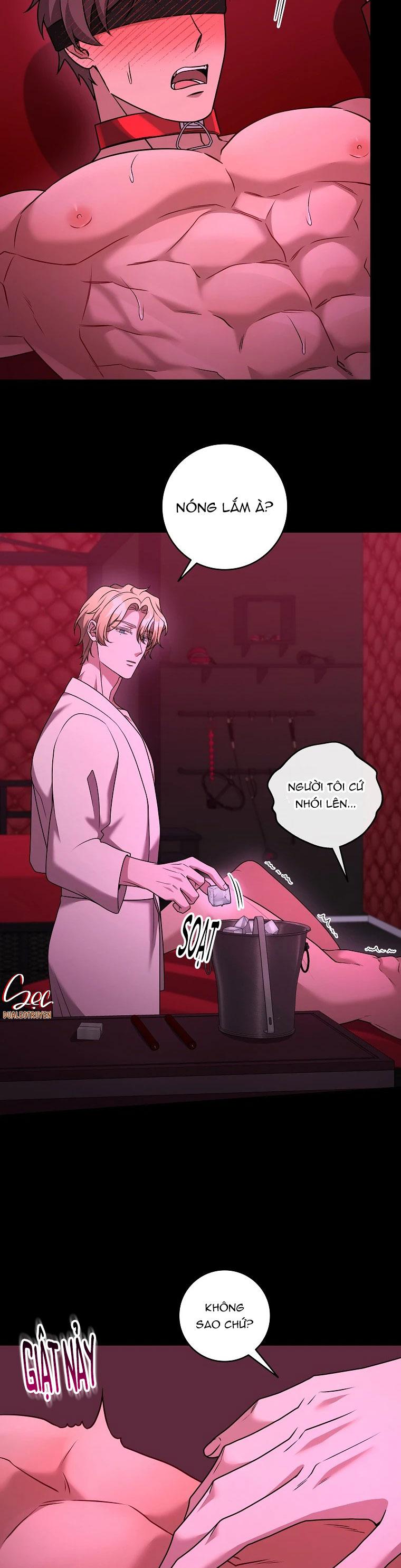 THẾ CHẤP LỖ ĐÍT Chapter 15 - Next Chapter 16