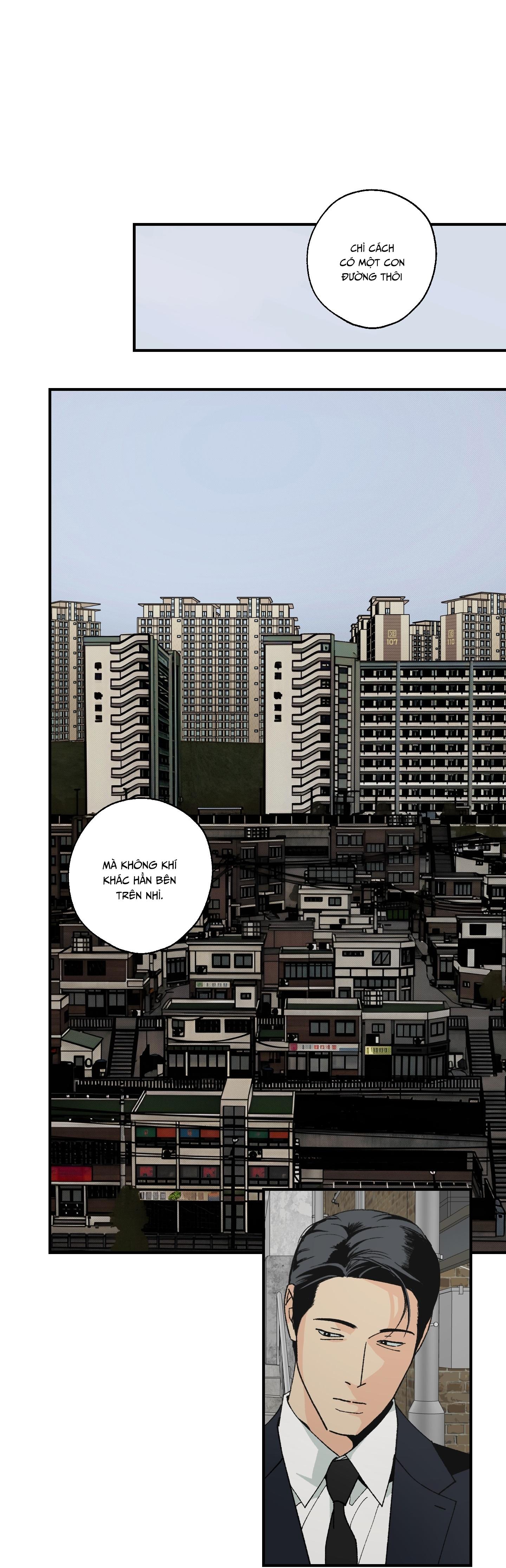 CHỦ NGHĨA HÒA BÌNH Chapter 2 - Next 