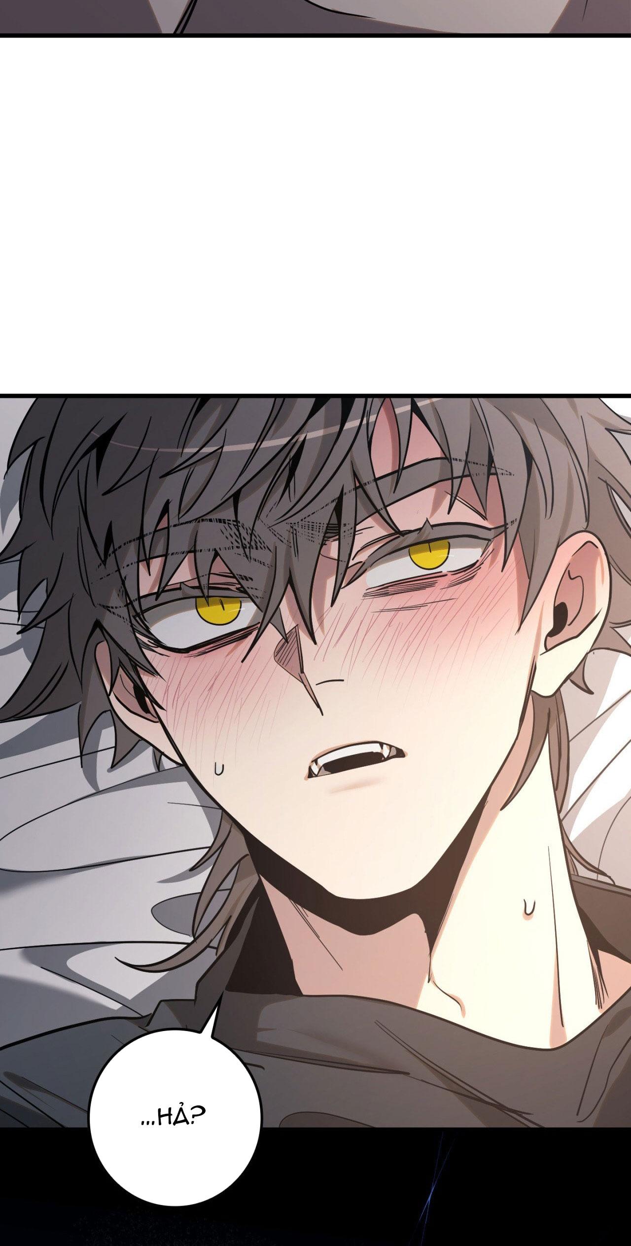 BLACK OUT Chapter 13 - Next 