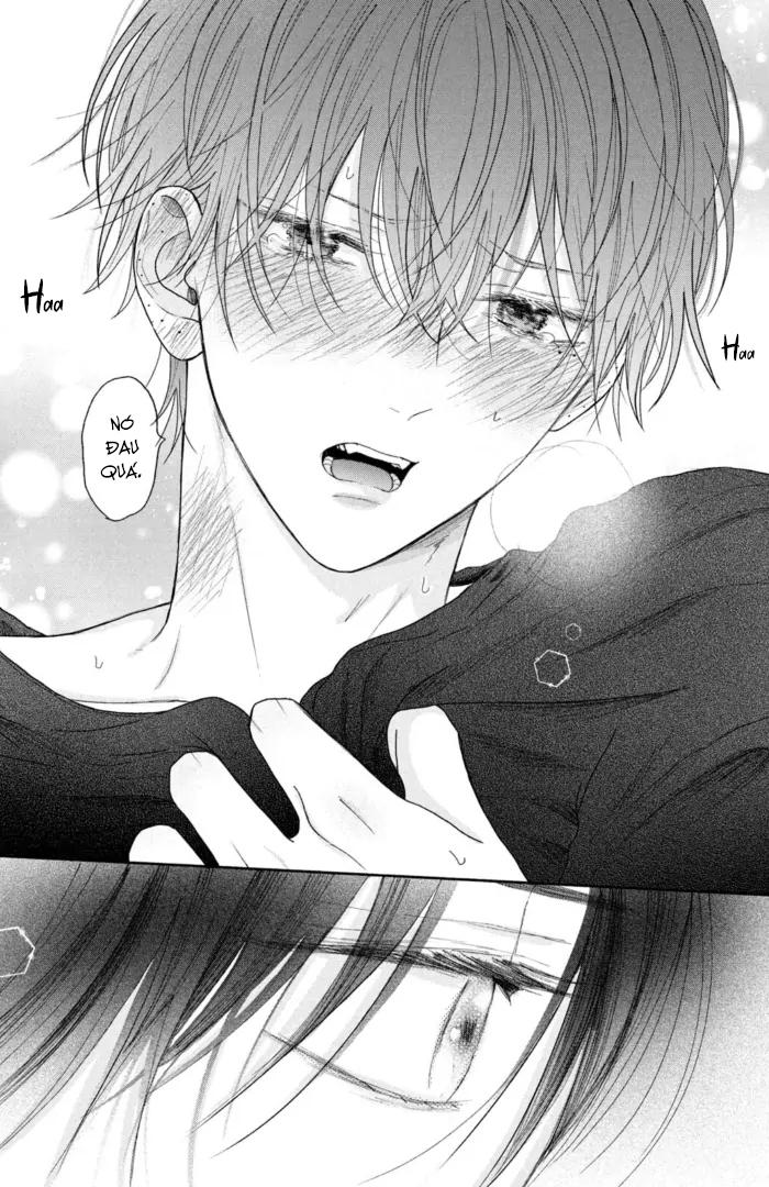 Tình Yêu Không Thể Giấu Chapter 4 - Trang 2