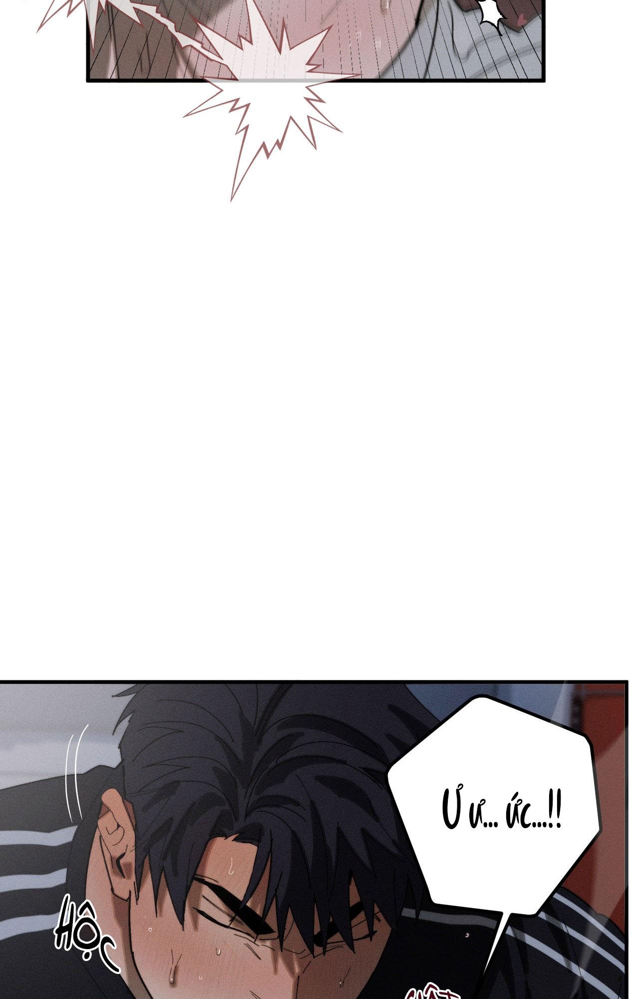 LỬA TÌNH BỐC CHÁY Chapter 23 - Next Chapter 24