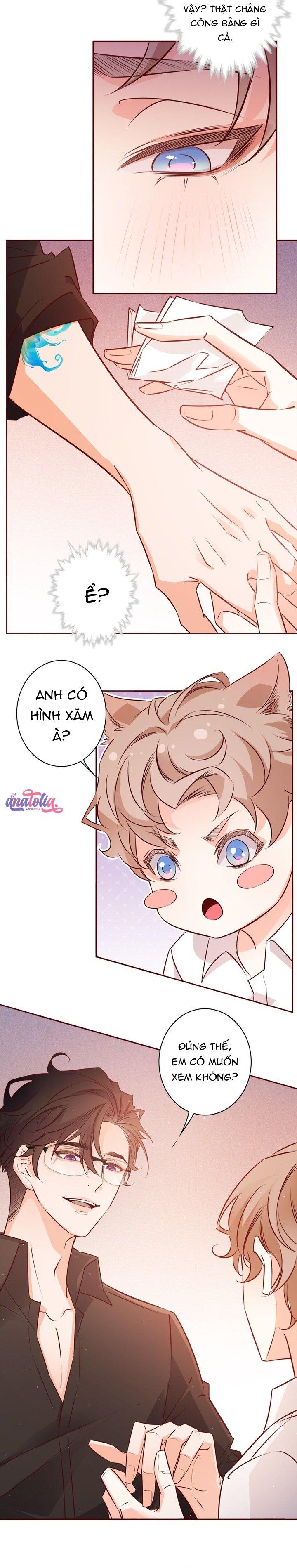 Yêu Em Bất Chấp Chapter 15 - Next Chapter 16