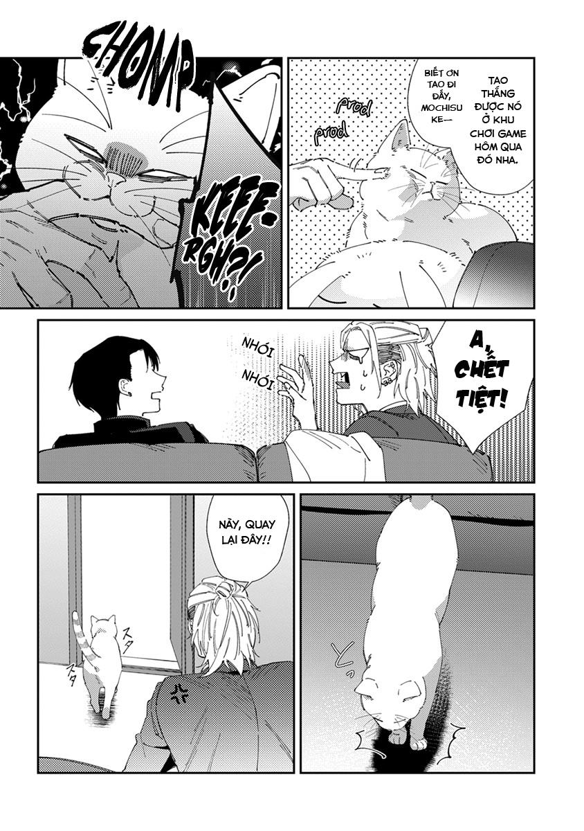 Chuyện Về Cặp Đôi Nhà Shima-chan Chapter 5 - Next 