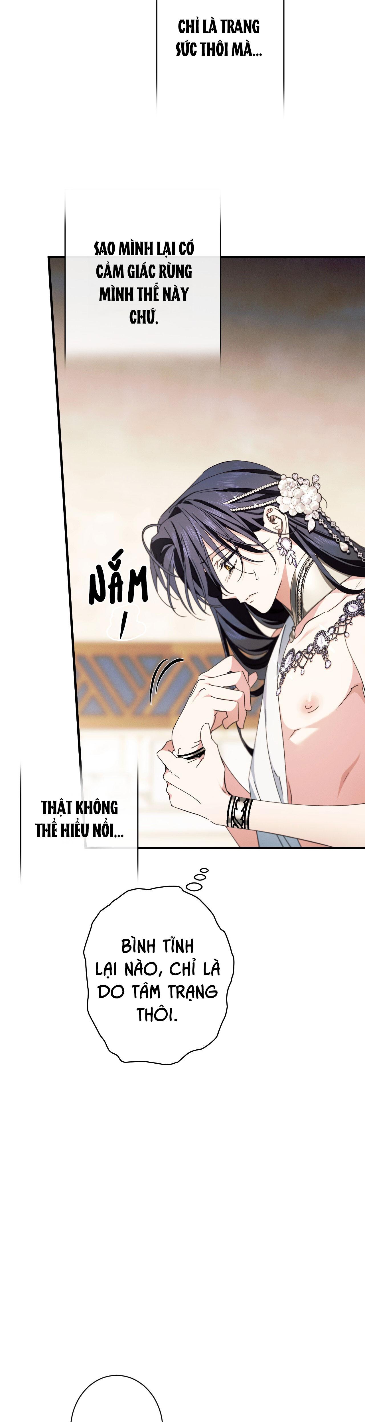 RẮN NUỐT LỰU Chapter 21 - Next Chapter 22