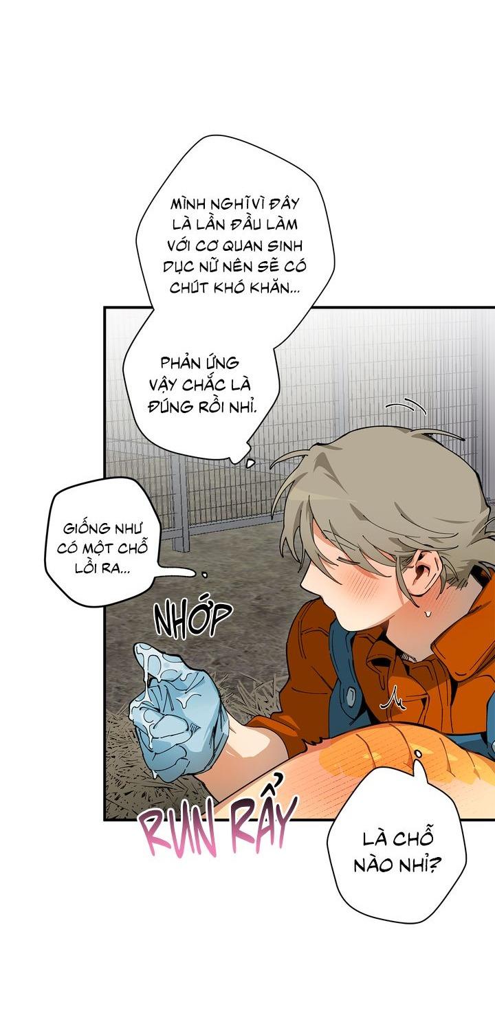 Mr.A's Farm Chapter 9 - Next 