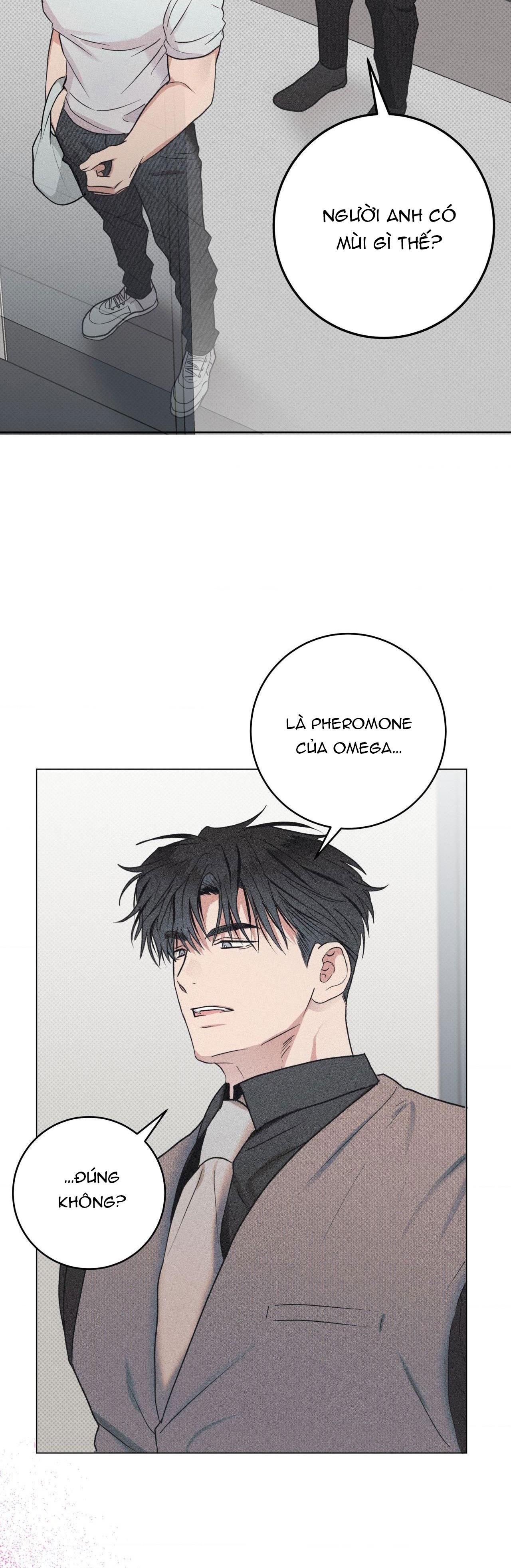 Định Mệnh Sai Lầm Chapter 7 - Trang 2
