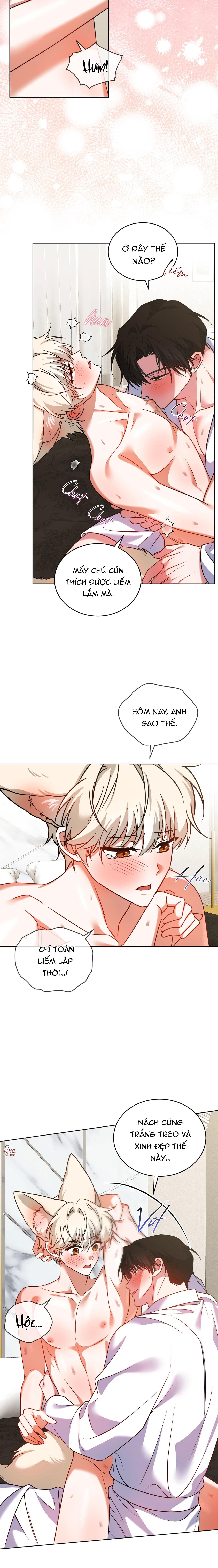 NƯỚC UỐNG TÌNH YÊU CỦA CÁO PLIN Chapter 43 - Next 