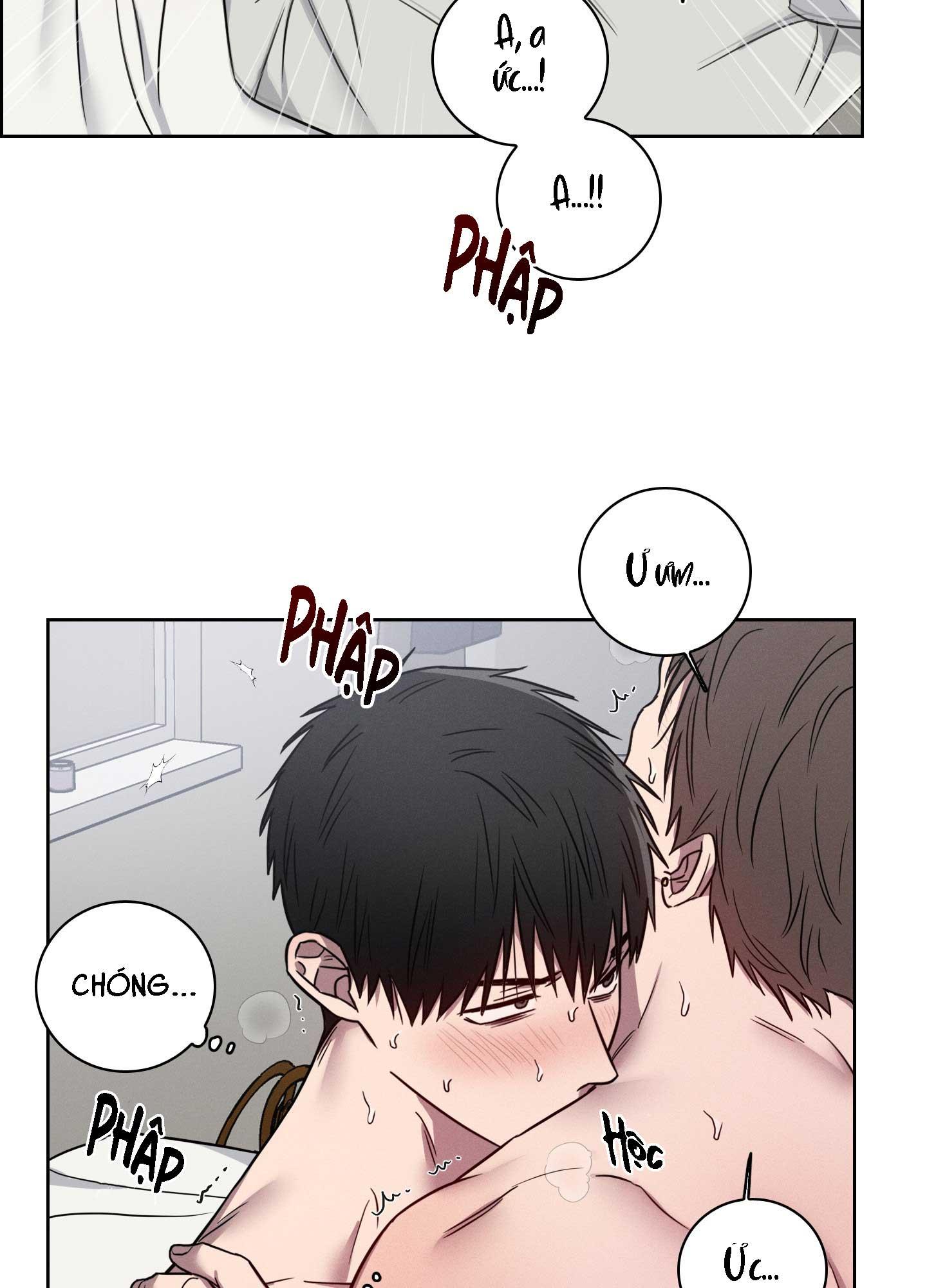 VỤ ÁN CON CU BIẾN MẤT Chapter 10 - Next 