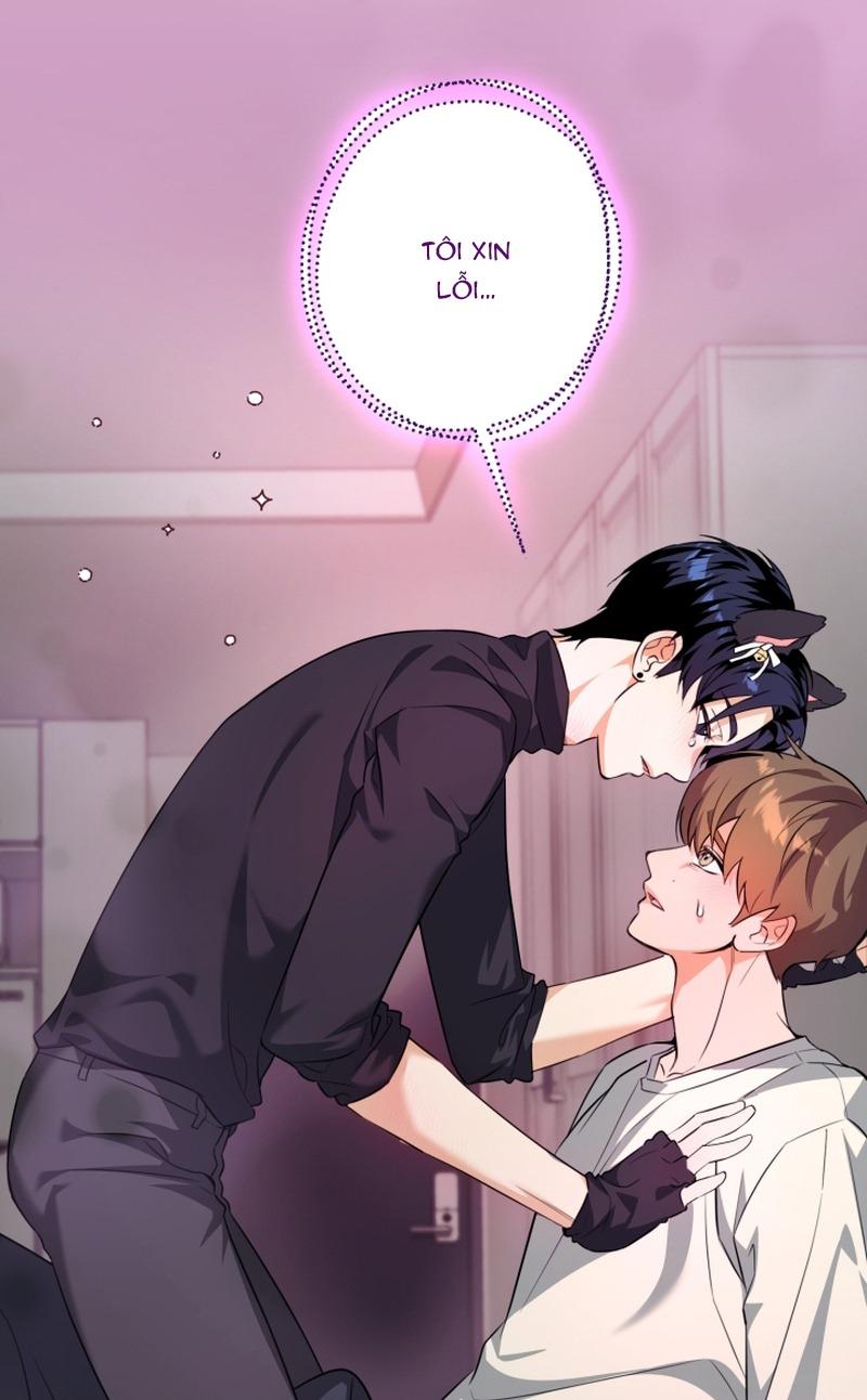 Đến gặp Idol nào! Chapter 10 - Next 