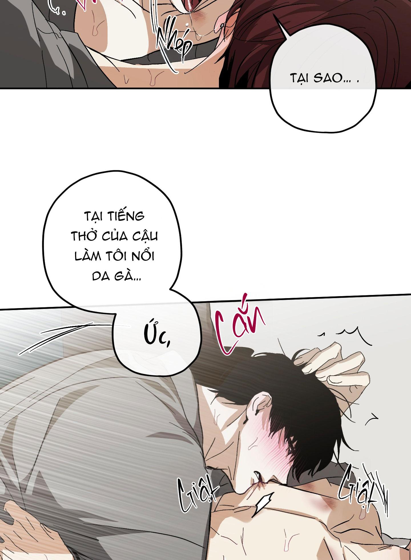 TƯƠNG XỨNG Chapter 13 - Trang 2