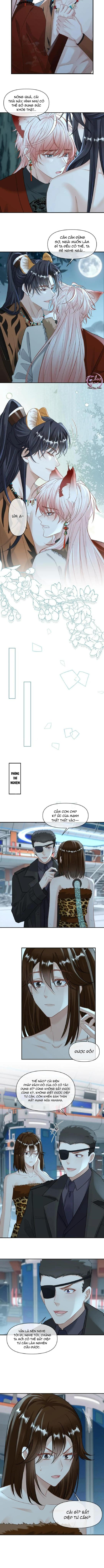 Khát Vọng Ngọt Ngào Chapter 433 - Next Chapter 434