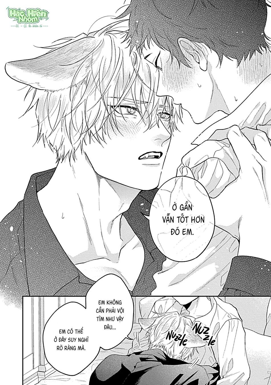 Nhìn vào em này Chapter 13 Hachiennhom - Next 