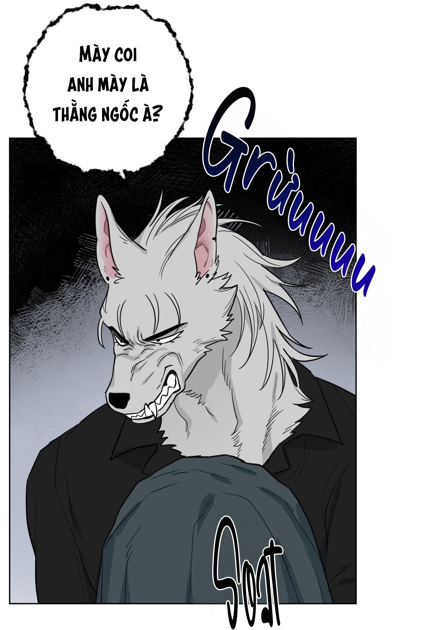 CHÚ ĐÃ BIẾT HẾT RỒI SAO ? Chapter 37 - Next 