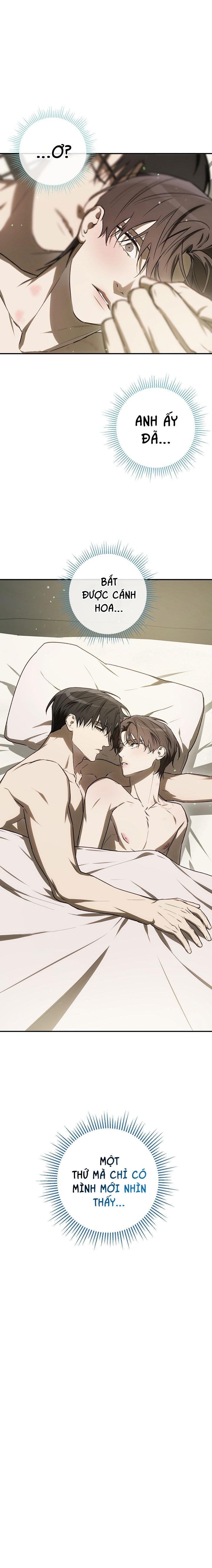 BẢO VẬT Chapter 33 - Next Chapter 34