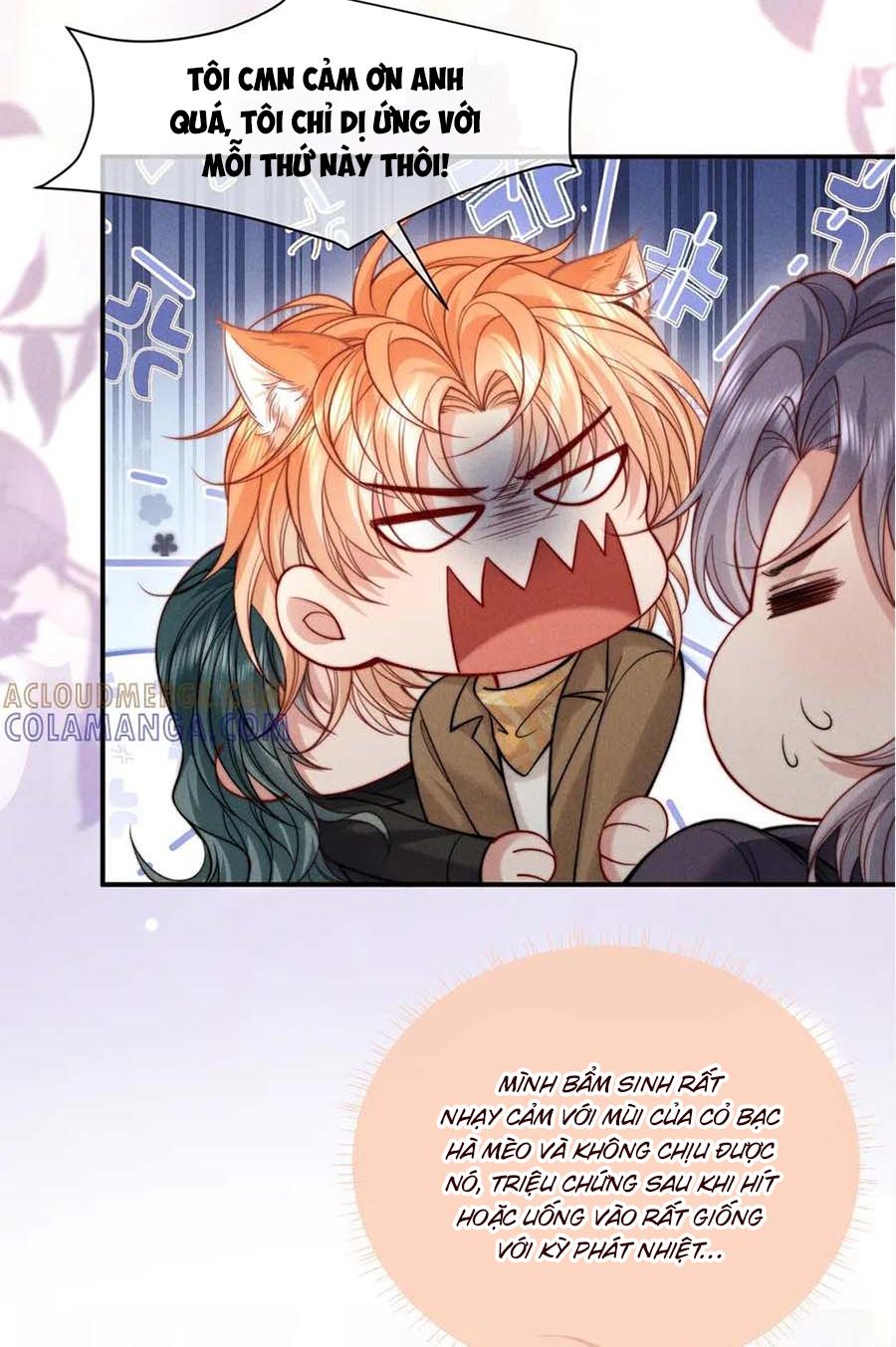 Nuông Chiều Sinh Hư Chapter 47 - Next Chapter 48