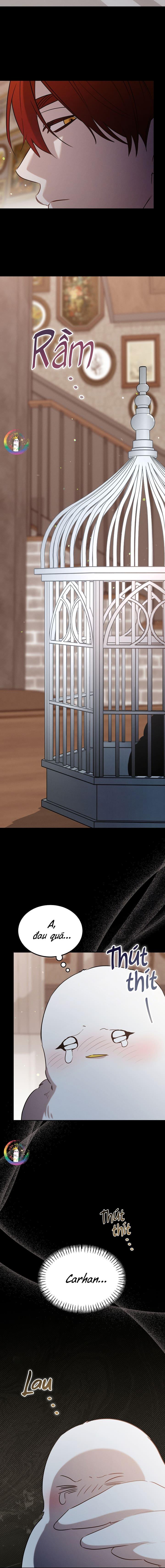 Này, Đừng Có Nhấn Cái Nút Đó! Chapter 51 - Next 