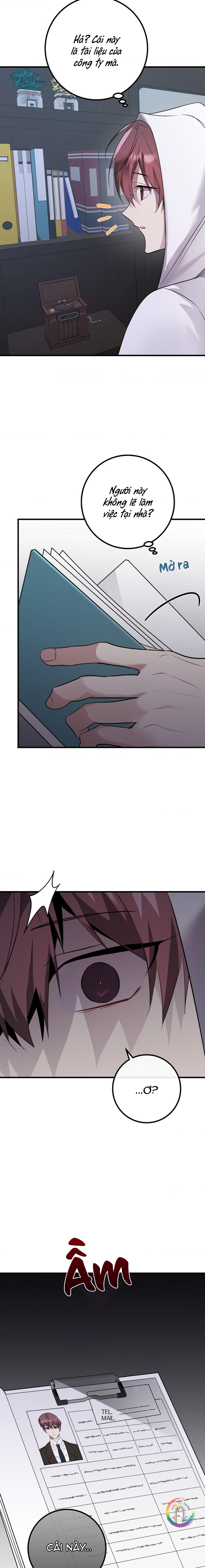 Xin Sếp Phê Duyệt Tối nay Chapter 13 - Next Chapter 14