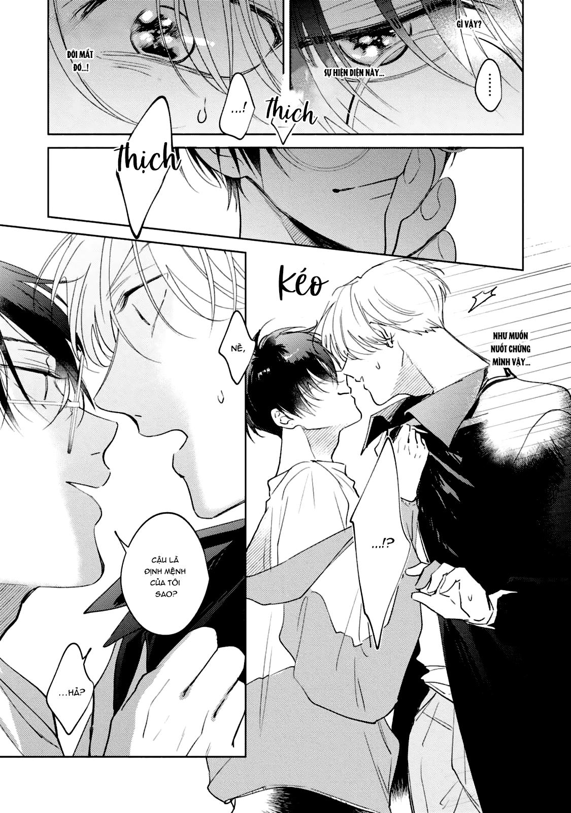 Bạn Đời Của Tôi Là Một Omega Thuần Chapter 1 H+ - Trang 2