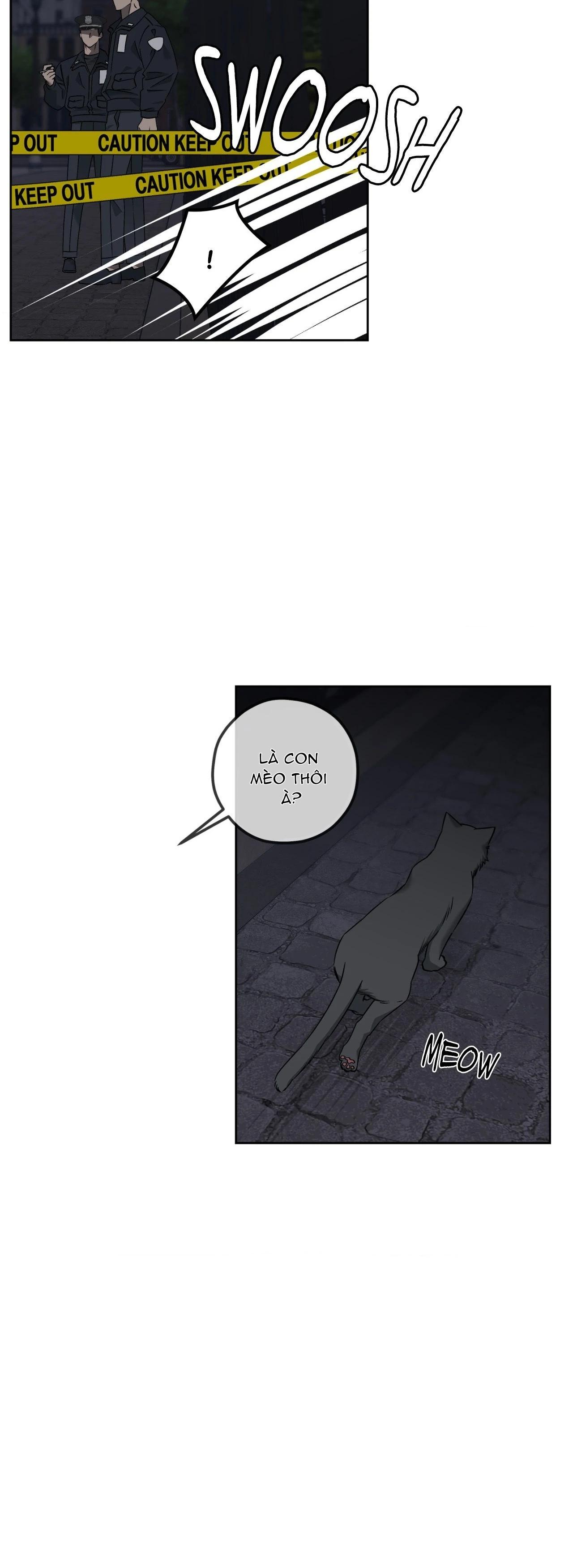 Vụ Án Mạng Kinh Hoàng Tại Số 19 Phố Sunset Chapter 3 - Next Chapter 4