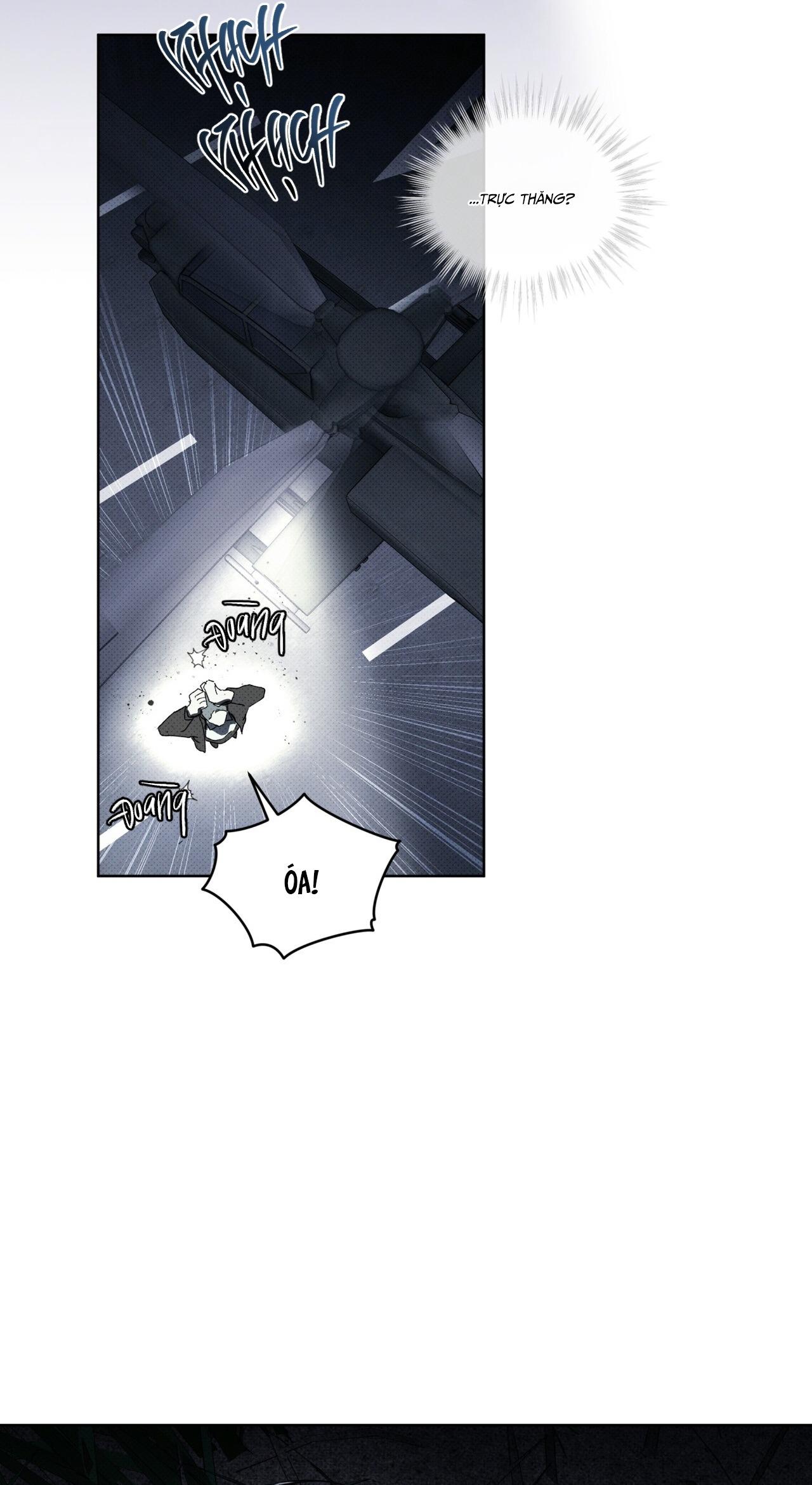 HÌNH THÁI TIẾN HÓA Chapter 13 - Next 