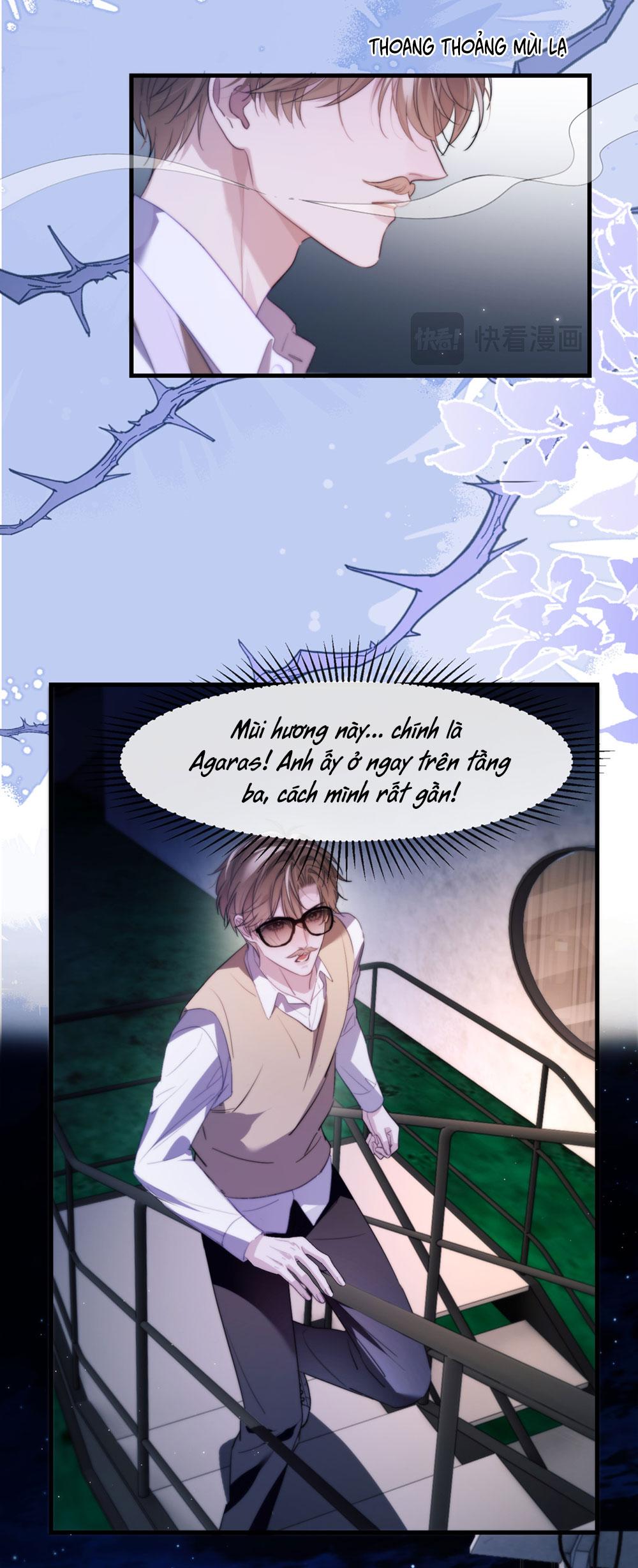 Nhân Ngư Desharow Chapter 96 - Next 