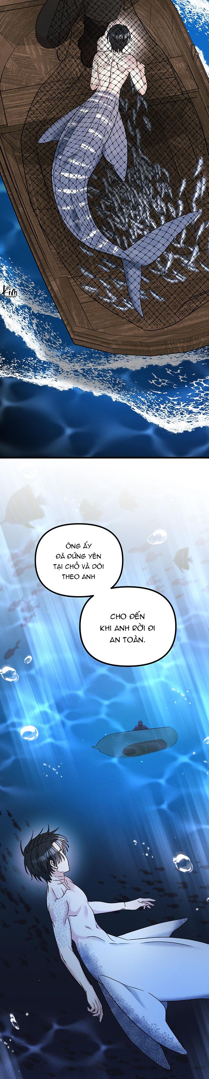 Mermaid's Cradle Chapter 6 - Next 