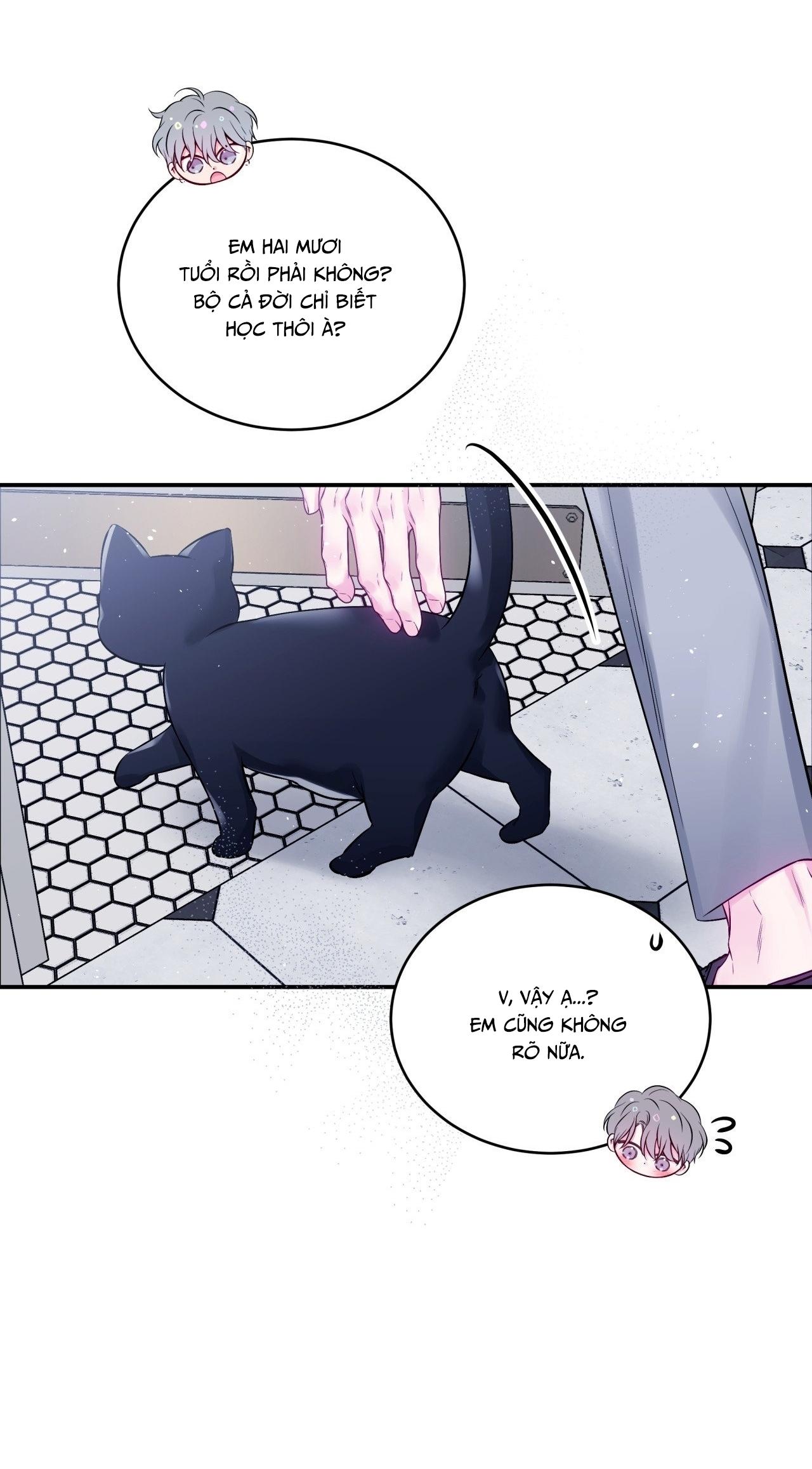IMPERFECTLY US Chapter 14 - Next 