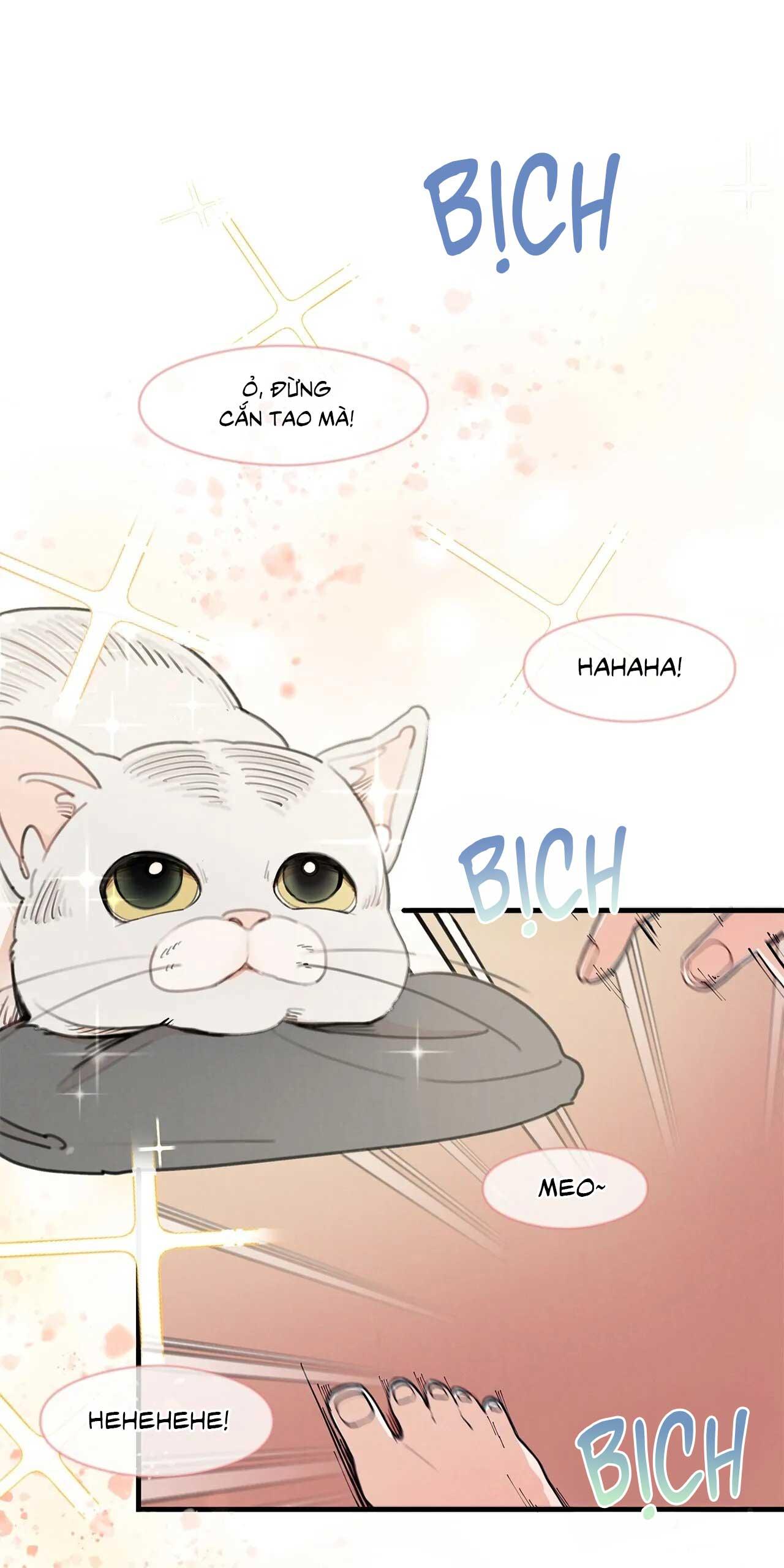 One-Room TA Chapter 7 - Next 