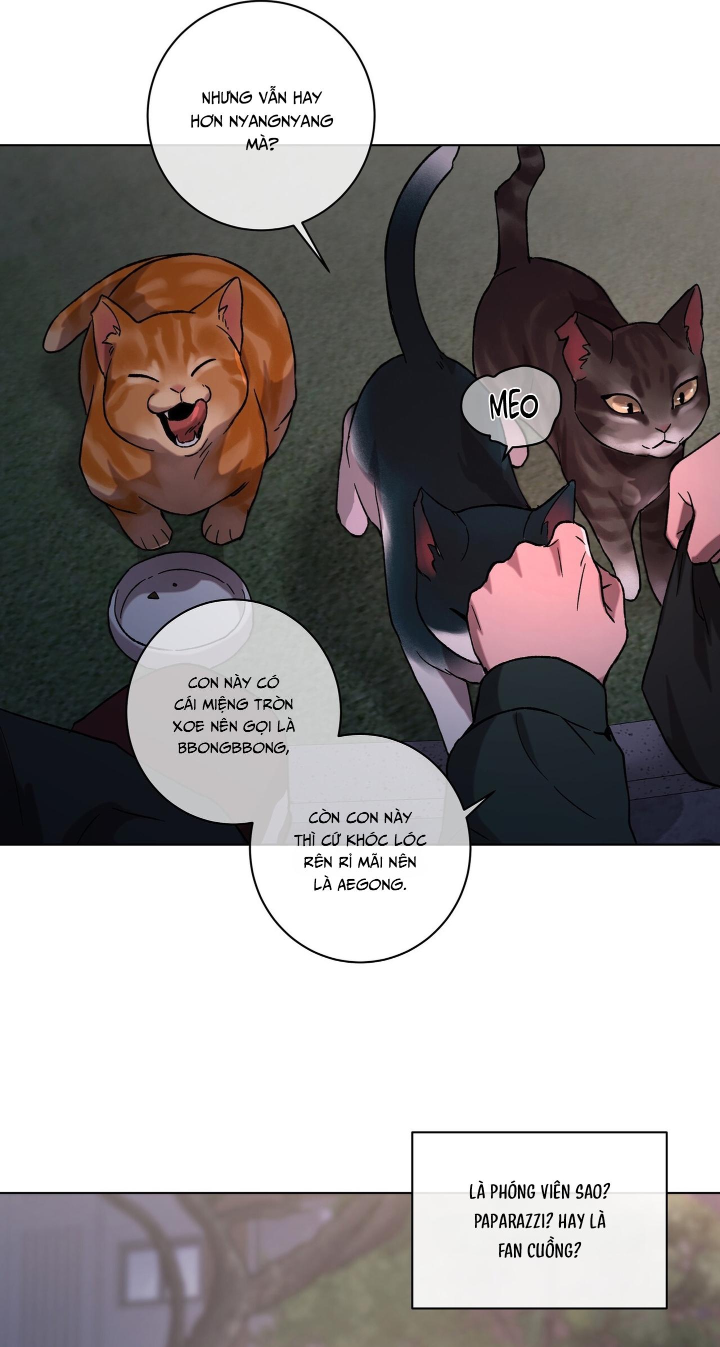 TUYỂN TẬP ÁM ẢNH, MƯU MÔ CÔNG Chapter 9.1 - Next Chapter 9.2