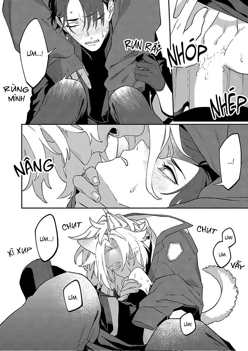 Hai Chú Chó Rắc Rối Chapter 4 - Next 