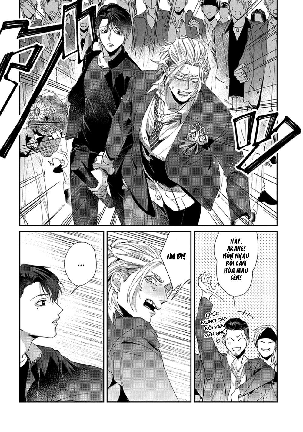 Chuyện Về Cặp Đôi Nhà Shima-chan Chapter 6 - Next 
