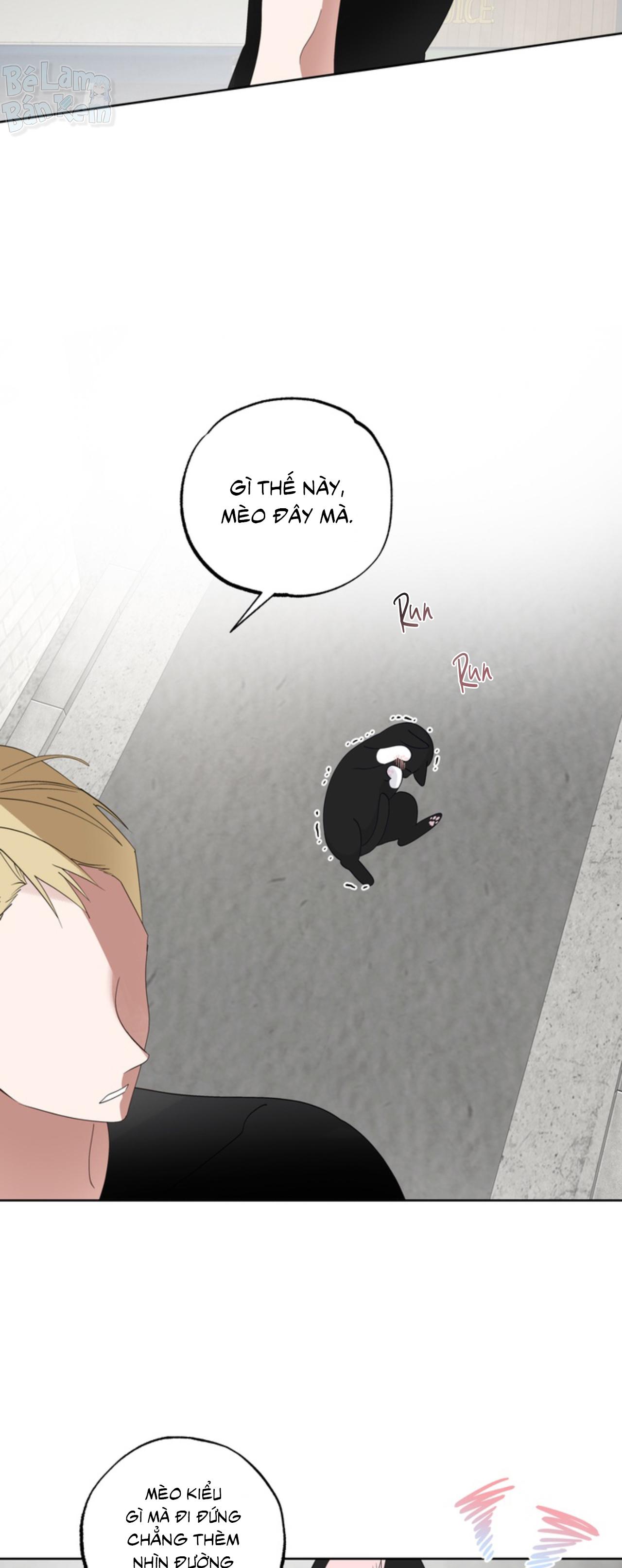 XIN HÃY YÊU THƯƠNG DÙ TÔI LÀ CHUỘT Chapter 6 - Trang 2