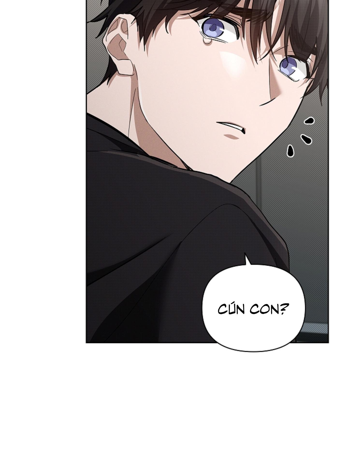 ĐỪNG ĐỘNG VÀO CÚN CON! Chapter 44.02 - Next 