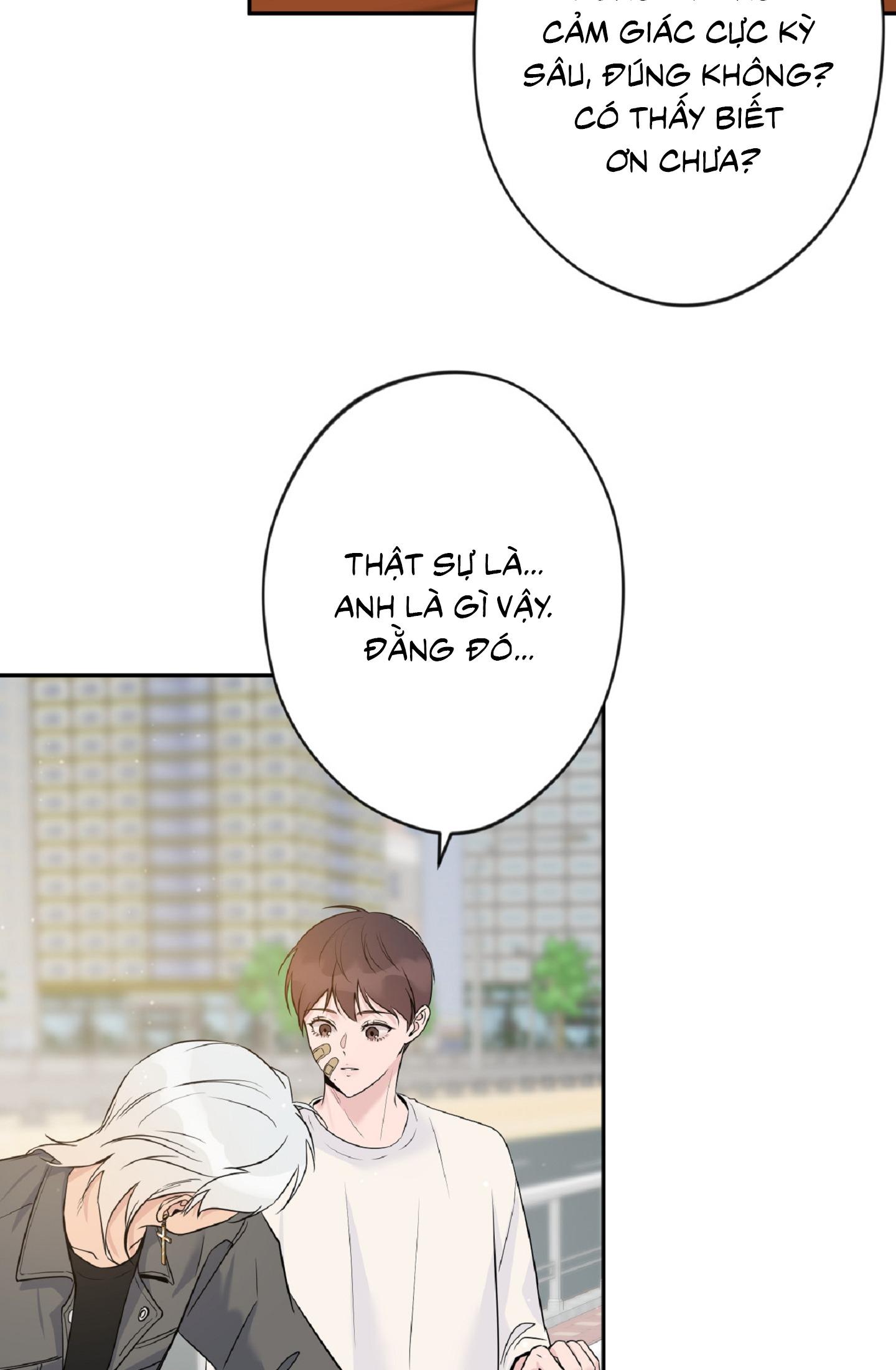 Angel kiss Chapter 3 - Trang 2
