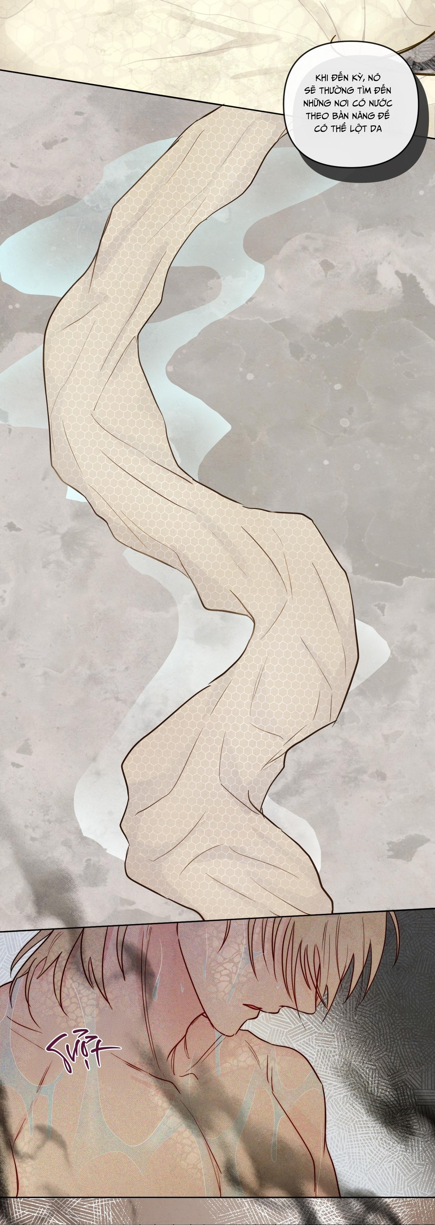 THE SACRED SERPENT'S SEDUCTION Chapter 22 - Next 