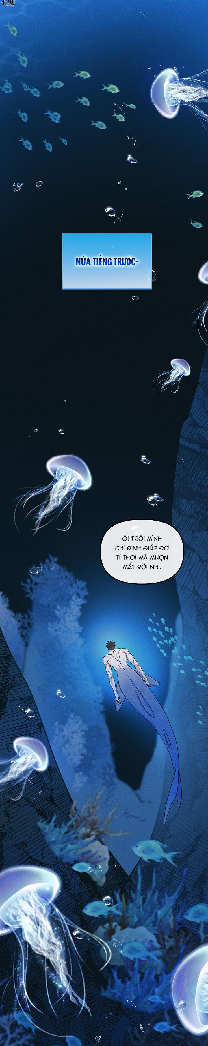Mermaid's Cradle Chapter 2 - Next 