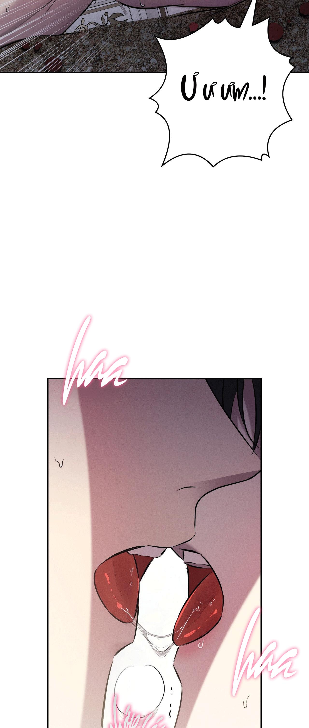 ĐÁM CƯỚI TAI TIẾNG Chapter 40 - Next 