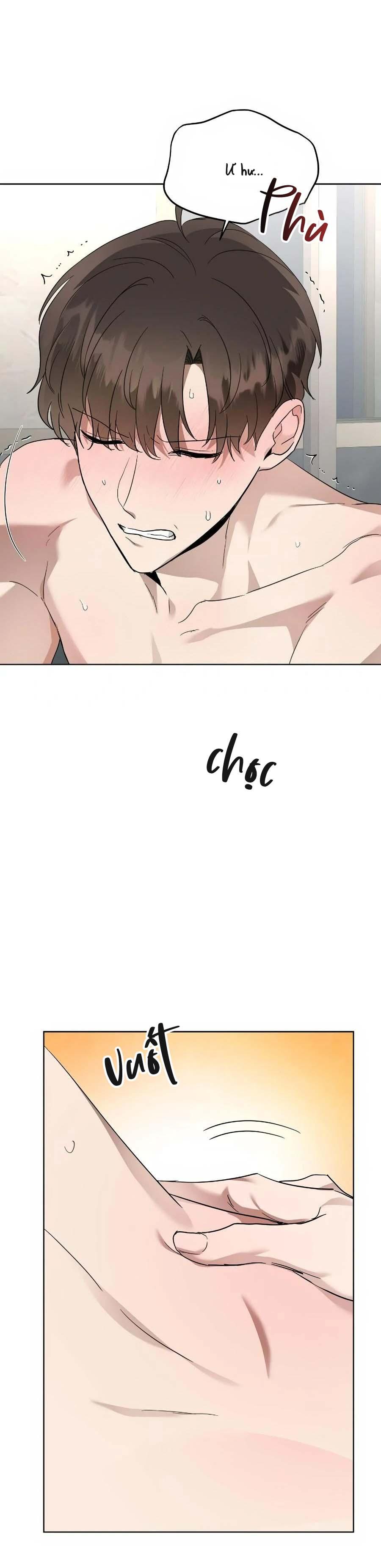 Niềm An Ủi Ngày Chủ Nhật Chapter 67 - Next Chapter 68