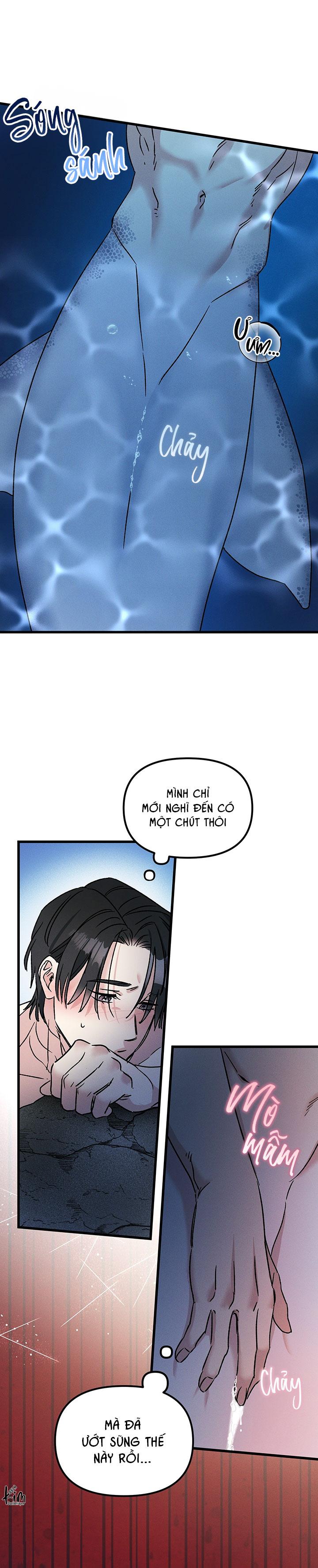 Mermaid's Cradle Chapter 5 - Next 